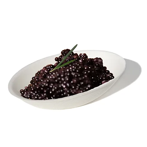 Biodegradable Dishware for Mini Appetizers and Desserts