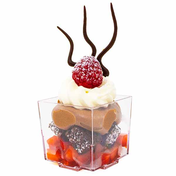 3 Oz Plastic Disposable Dessert Cup for appetizers