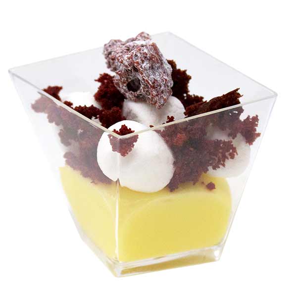 Small Plastic Dessert Container