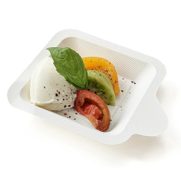 Small eco-friendly tray for events