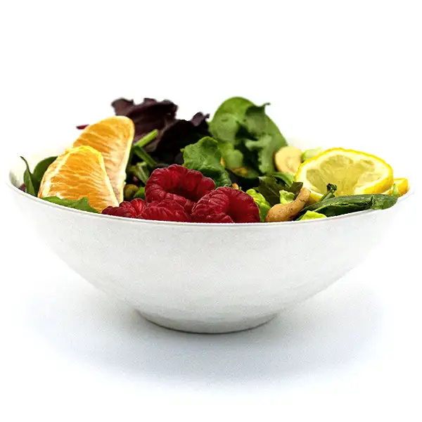 Compostable sugarcane appetizer bowl for catering and events